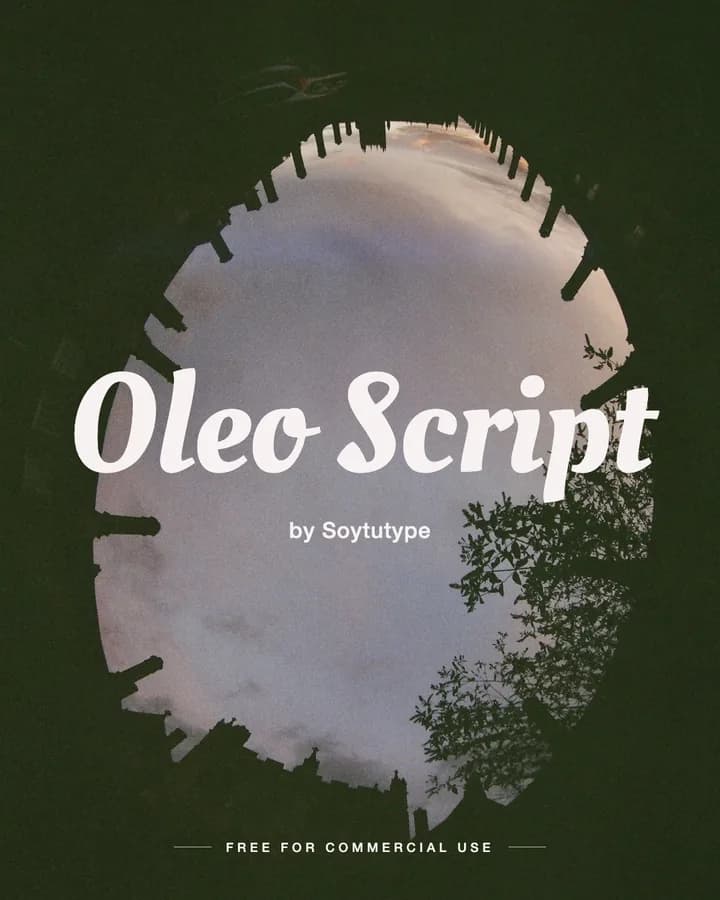 Oleo Script font by Soytutype